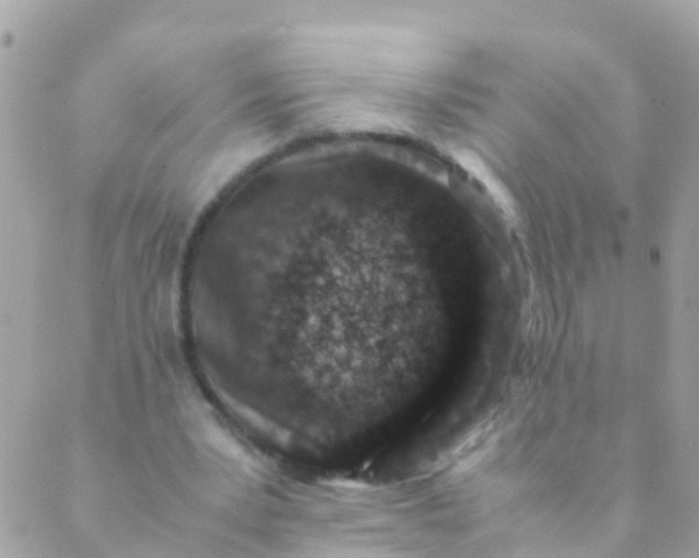 X0000089430391200707061349