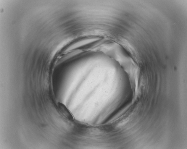 X0000089430392200707061349