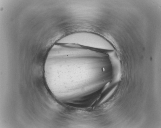 X0000089430393200707061349