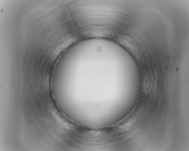 X0000089430394200707061349