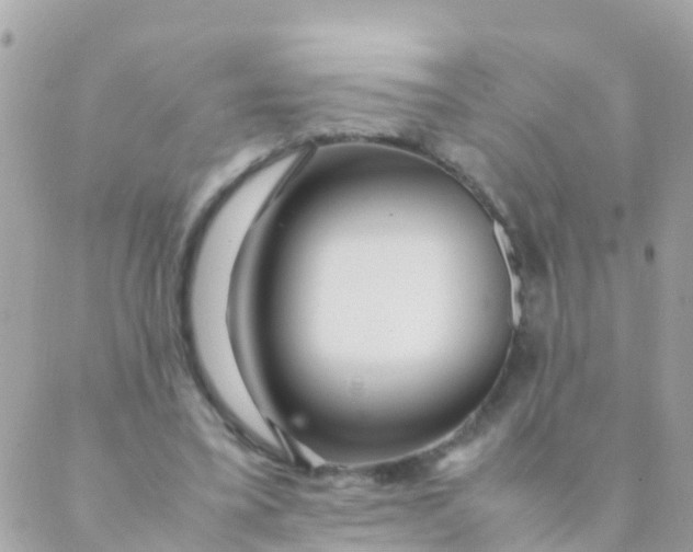 X0000089430395200707061349