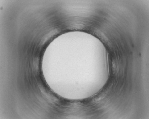 X0000089430396200707061349