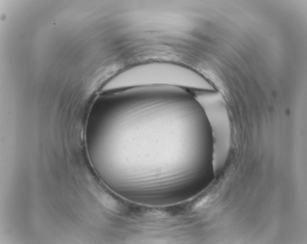 X0000089430397200707061349