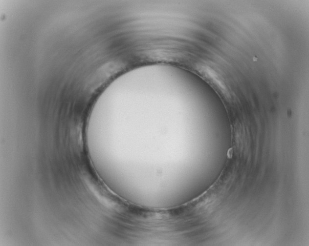 X0000089430398200707061349