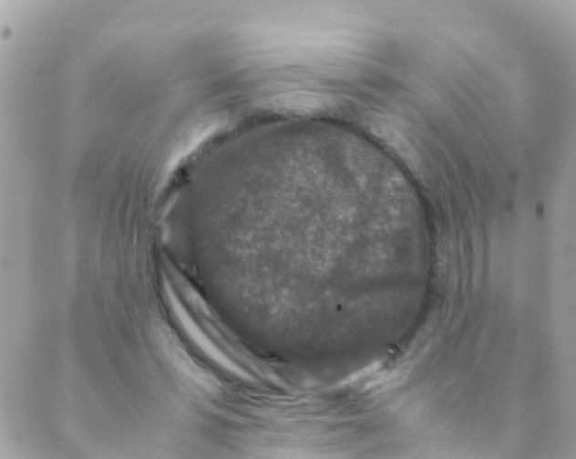 X0000089430399200707061349