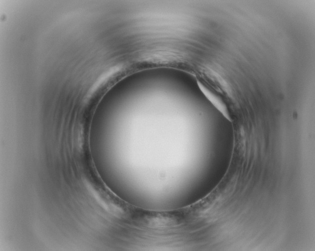 X0000089430400200707061349