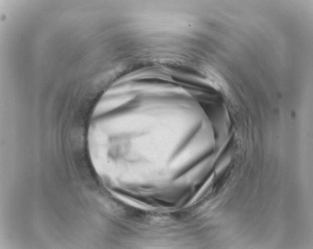 X0000089430401200707061349