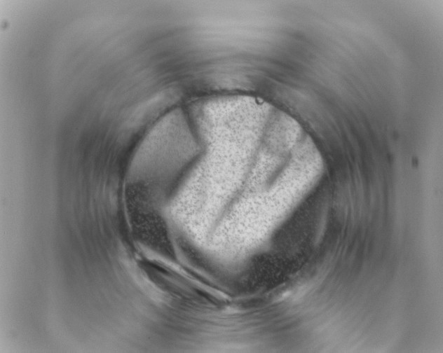 X0000089430402200707061349