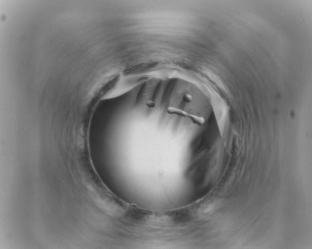 X0000089430403200707061349