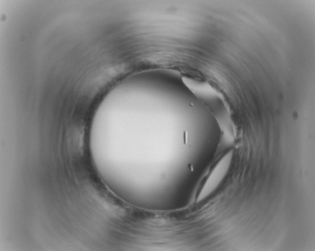 X0000089430404200707061349