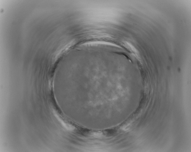 X0000089430405200707061348