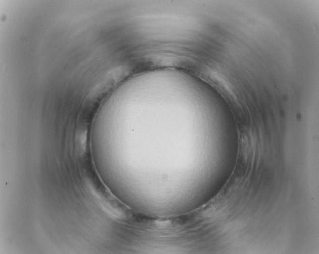 X0000089430406200707061348