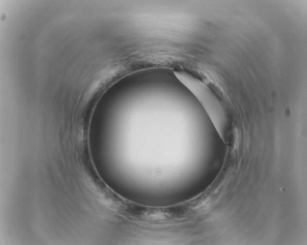 X0000089430407200707061348