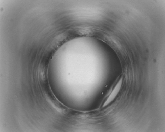 X0000089430408200707061348