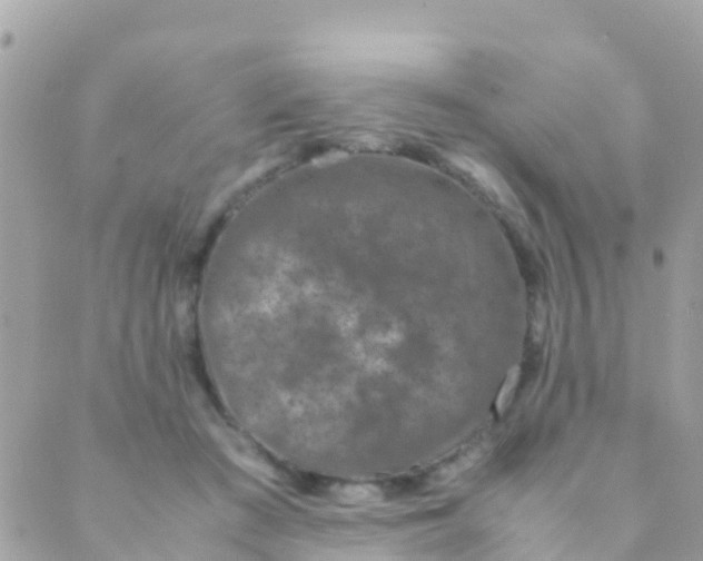 X0000089430409200707061348