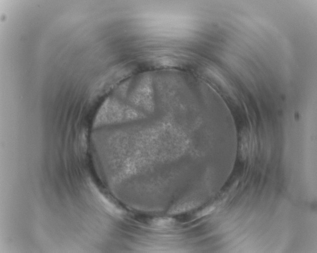 X0000089430410200707061348