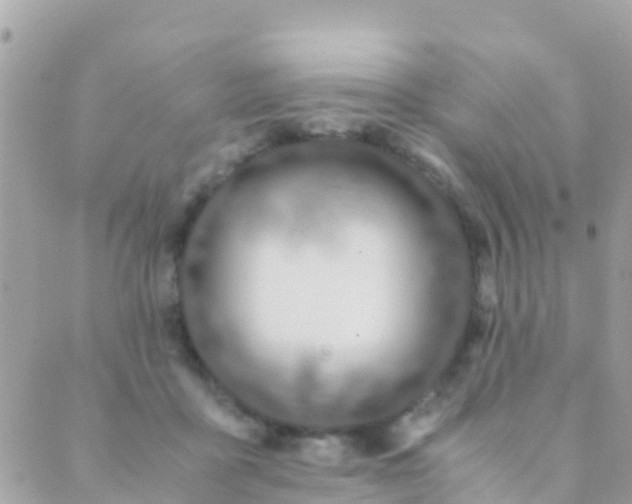 X0000089430411200707061348