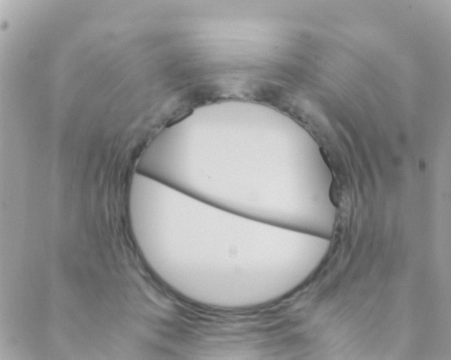 X0000089430413200707061348