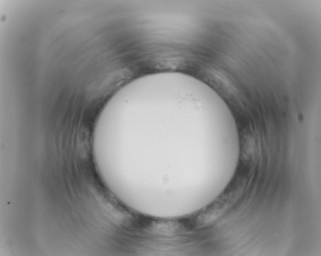 X0000089430414200707061348