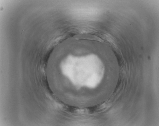 X0000089430415200707061348