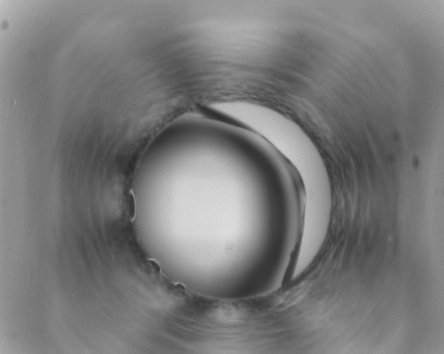 X0000089430416200707061348