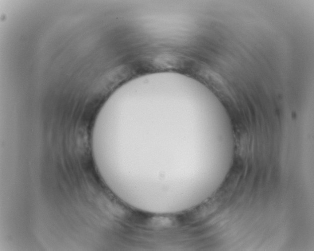 X0000089430418200707061348