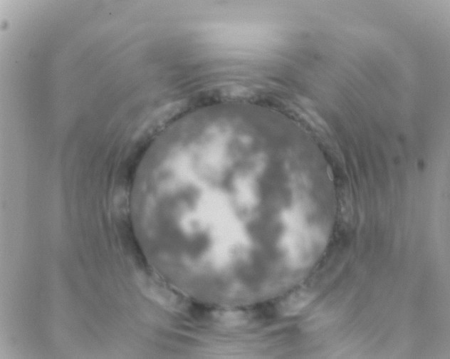 X0000089430419200707061348