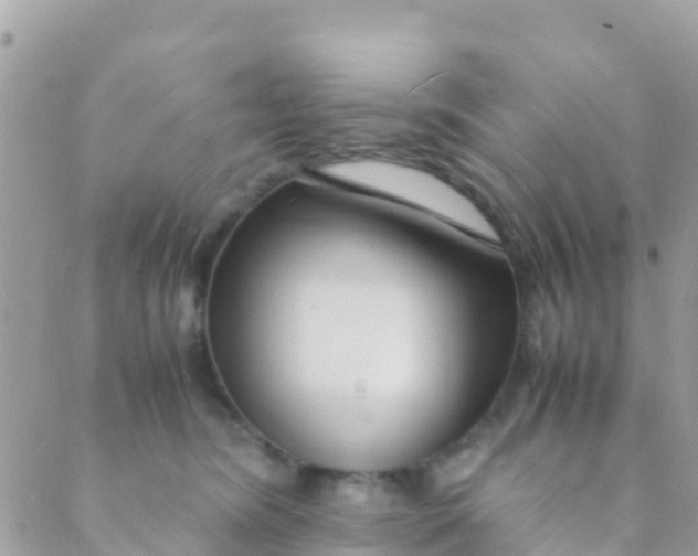 X0000089430420200707061348