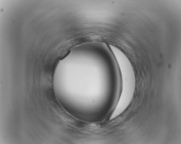 X0000089430421200707061348