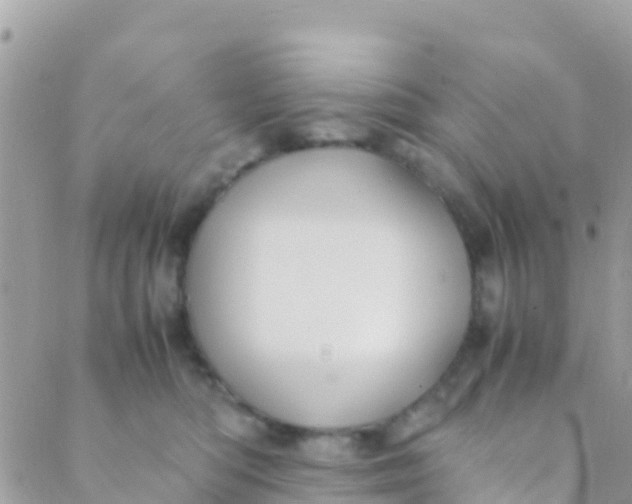 X0000089430422200707061348