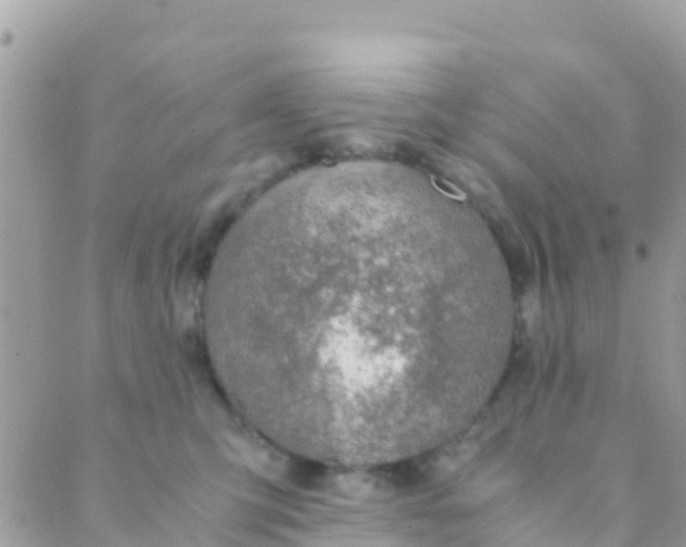 X0000089430423200707061348