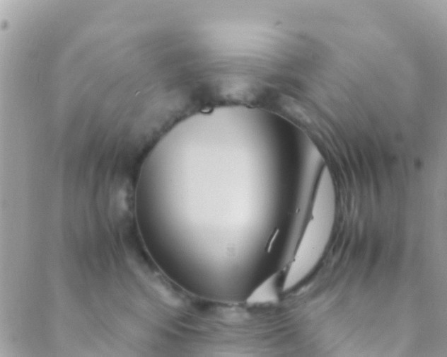 X0000089430424200707061348