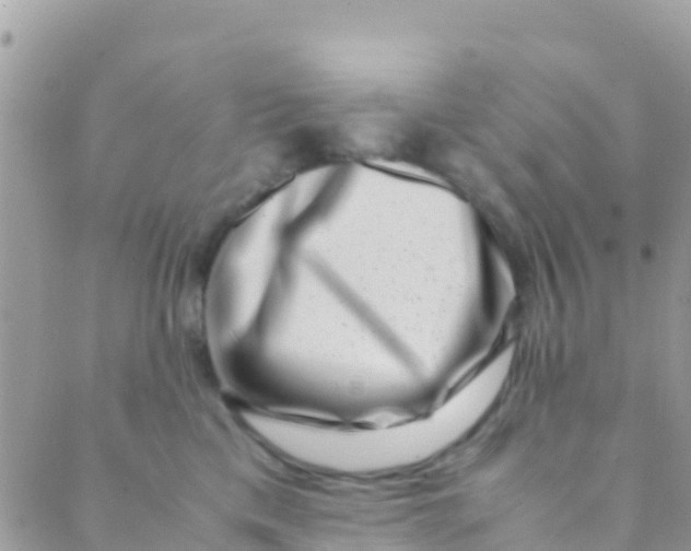 X0000089430425200707061348