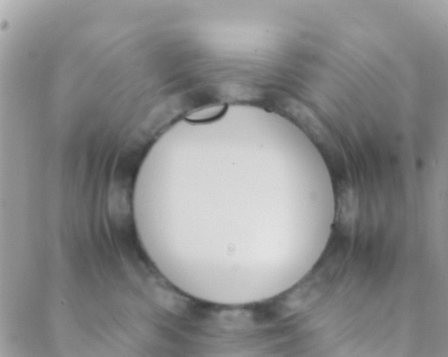 X0000089430426200707061348