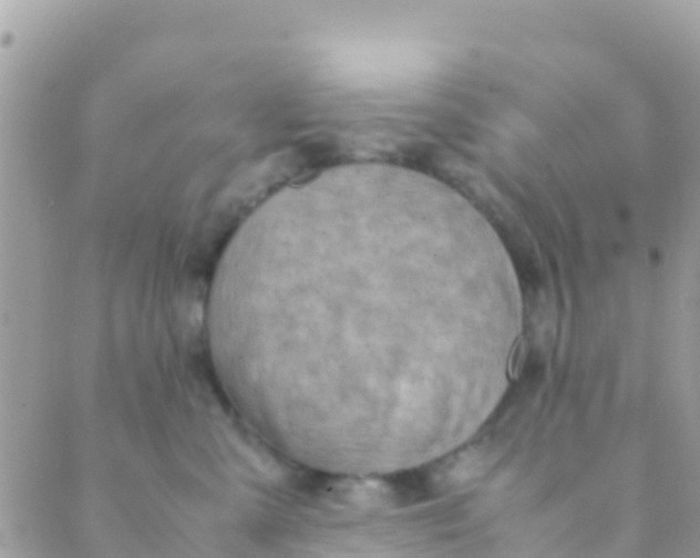 X0000089430427200707061348