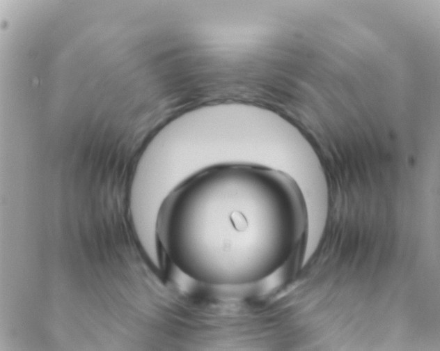 X0000089430428200707061348