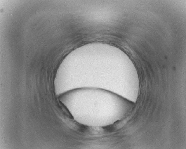 X0000089430429200707061348