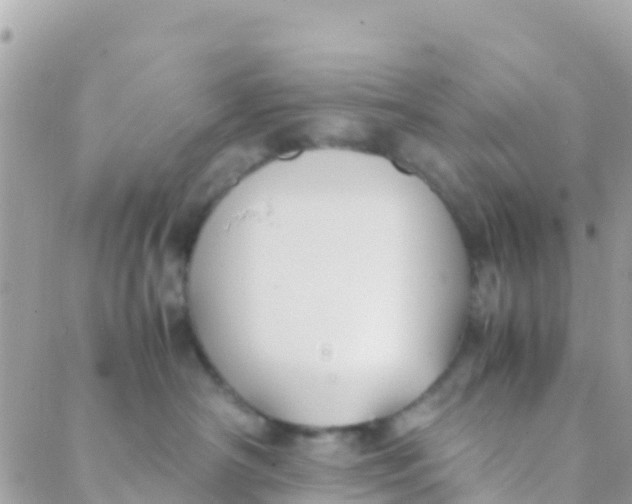 X0000089430430200707061348