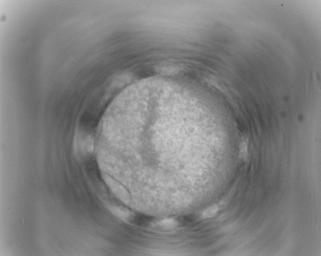 X0000089430431200707061348