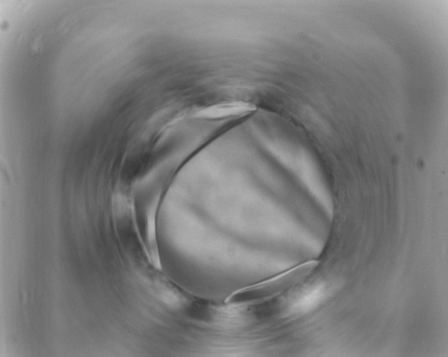 X0000089430432200707061348