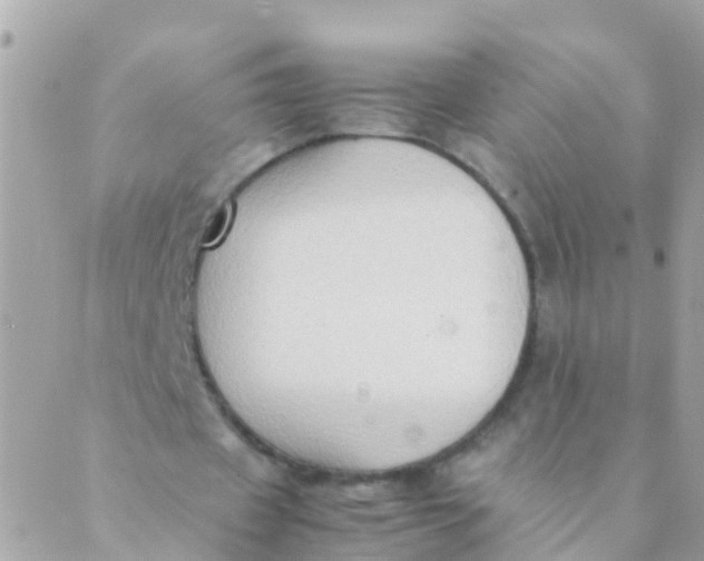 X0000089430433200707061347