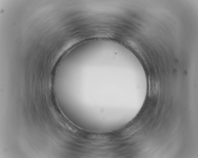 X0000089430435200707061347