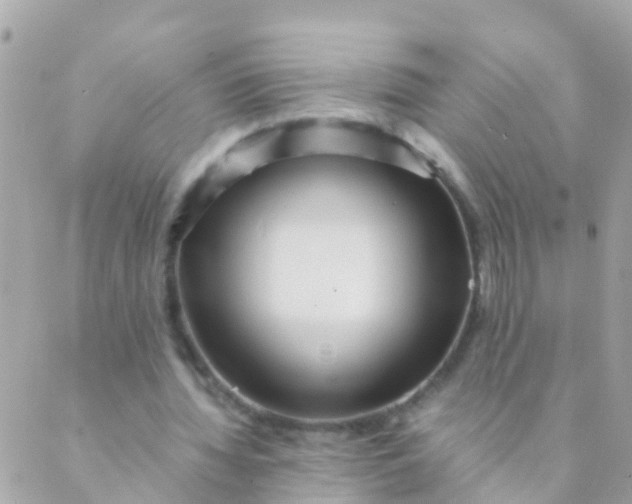 X0000089430436200707061347