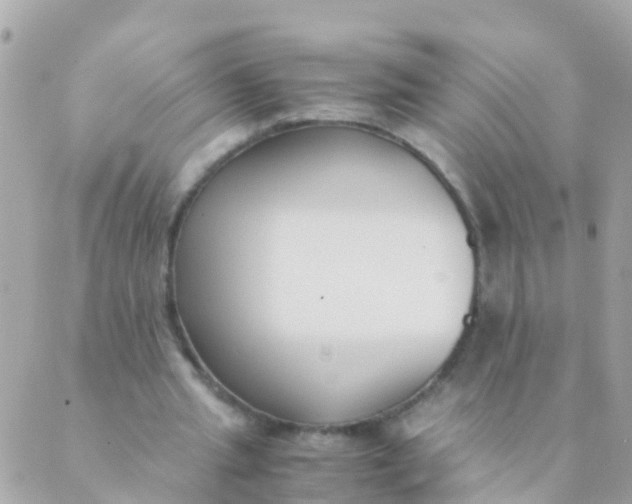 X0000089430437200707061347