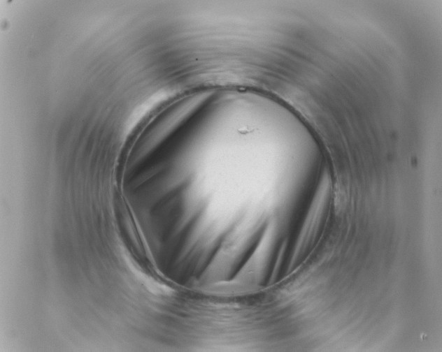 X0000089430438200707061347