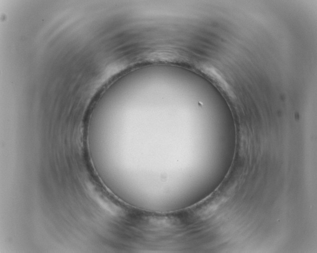 X0000089430439200707061347