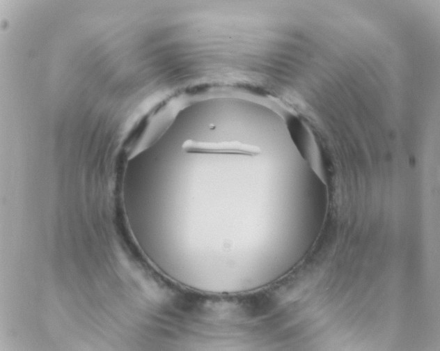 X0000089430440200707061347