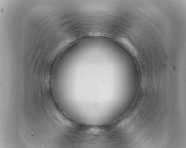 X0000089430441200707061347