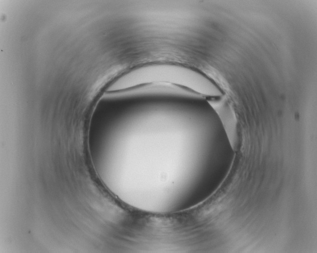 X0000089430442200707061347