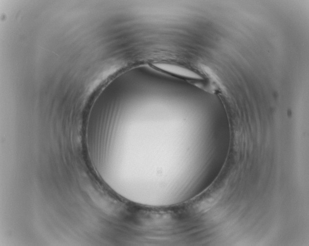 X0000089430443200707061347